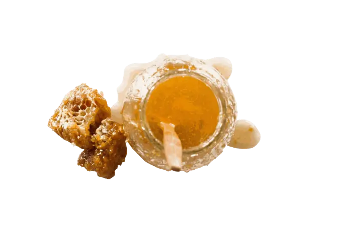 Sweet and Spicy Mustard with Honey Sweet and Spicy Mustard with Honey